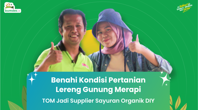 Benahi Kondisi Pertanian Lereng Gunung Merapi TOM Jadi Supplier Sayuran Organik Yogyakarta
