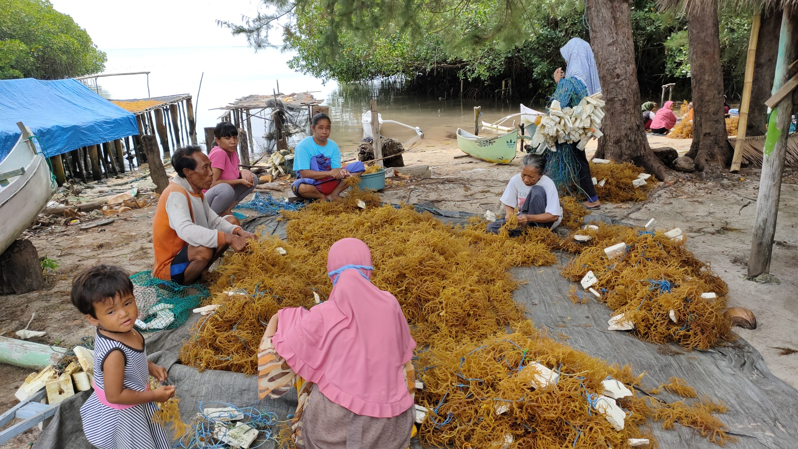Pengelolaan Sumber Daya Alam Desa: BUMDes dan Keberlanjutan Ekonomi Lokal